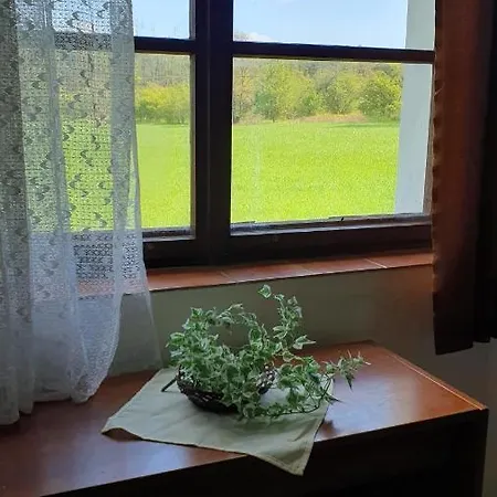Hotel Holenský Dvůr Ratibor (Jindrichuv Hradec )