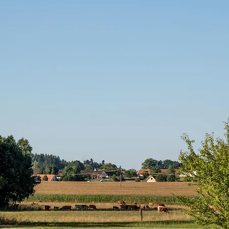 Holensky Dvur Otel